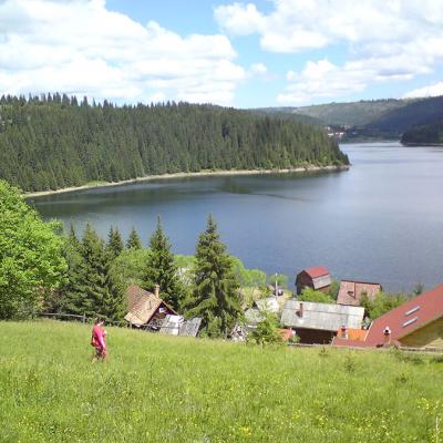 Dsc00833