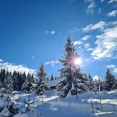 Plimbare Belis Imprejurimi Iarna